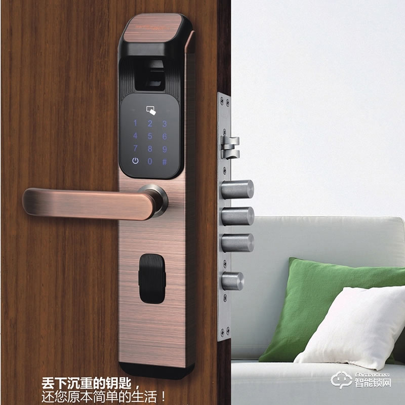 朴盾智能锁 家用防盗门指纹密码锁